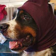 martina-bitter Avatar