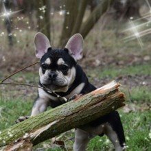 kirsten-schill Avatar