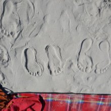 svea_vs_world Avatar