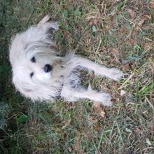 sandra-rasch1 Avatar