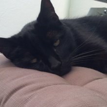 martina-goehler3 Avatar