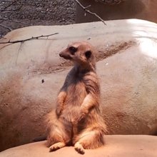 christine-bondolfi Avatar