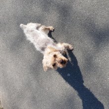 helga-kerkhoff Avatar