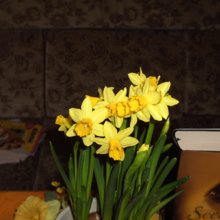 michele-neumann Avatar