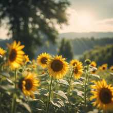 rebecca-beyer Avatar