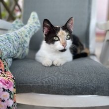bianca-eberhardt1 Avatar