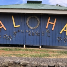 sigrid-meier-giebing Avatar