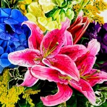 janet-schollenberger Avatar