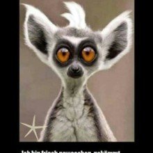 antje-schimanski Avatar