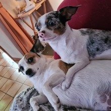 andrea-heming1 Avatar