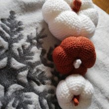 Danielaaurora Avatar