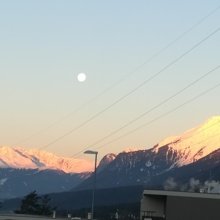 petra-dobrovz Avatar