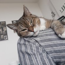 renate-schulz1 Avatar