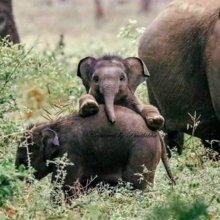 britta-renner-moehren Avatar