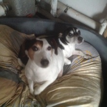 monika-walter1 Avatar