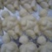 Venus_Willendorf Avatar