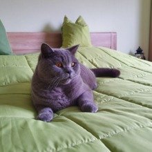 monika-weinhold Avatar