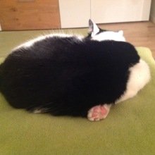 marion-vogler Avatar