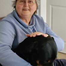 ricarda-stolle-rosebrock Avatar