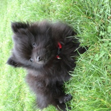 annegret-lehnertz Avatar