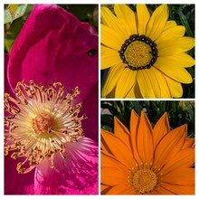 angelika-klemm1 Avatar