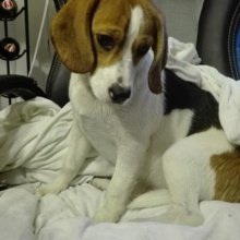 manuela-zeiler-meixner Avatar