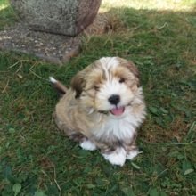 gaby-fruehwald Avatar