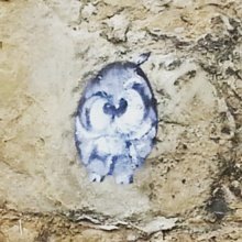 martina-pultar Avatar