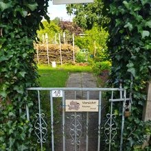 silvia-federmann Avatar