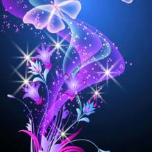 kullerkeks-kuller Avatar