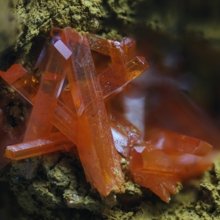 ulrike-doehnel Avatar