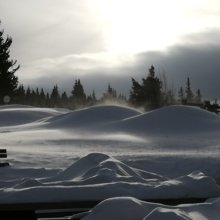 gertrud-klinger Avatar