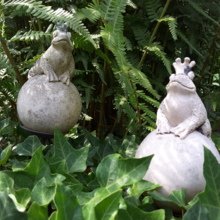 angelika-biermann1 Avatar