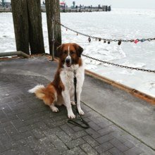 brunhild-bergmann Avatar