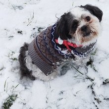 manuela-zehnle-gross Avatar