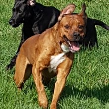 kathrin-espeter Avatar