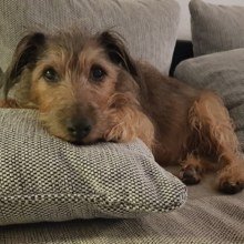 melanie-hanel Avatar