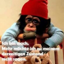 gabriele-mueller11 Avatar