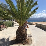 silke-bollmann-krueger