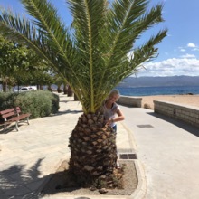 silke-bollmann-krueger Avatar