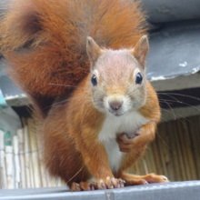 Magdalena-1978 Avatar