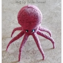 BonnieLynnEmbrey Avatar