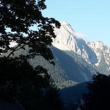 roswitha-buettner1 Avatar