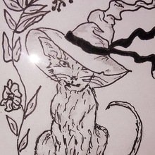 Sandra-Kreativ Avatar