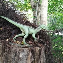 angelika-anders-lauck Avatar