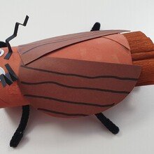 antje-dierolf Avatar