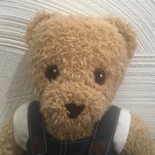 Knittebear Avatar