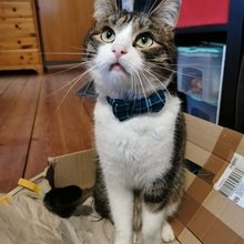 janna-kraemer Avatar