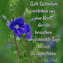 sabine-gloning Avatar