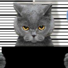 esther-knunbauer Avatar